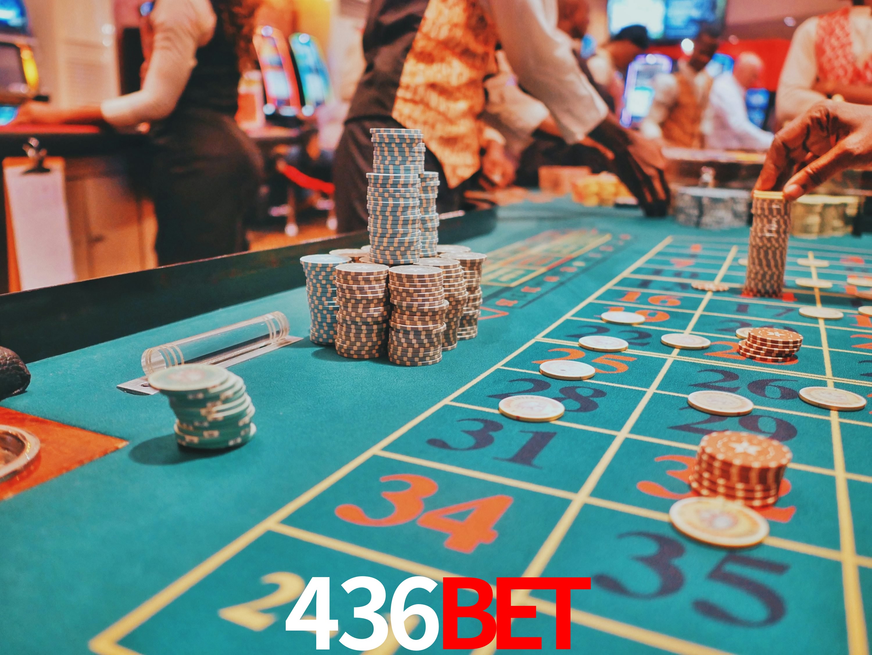 Sports Statistics 436bet